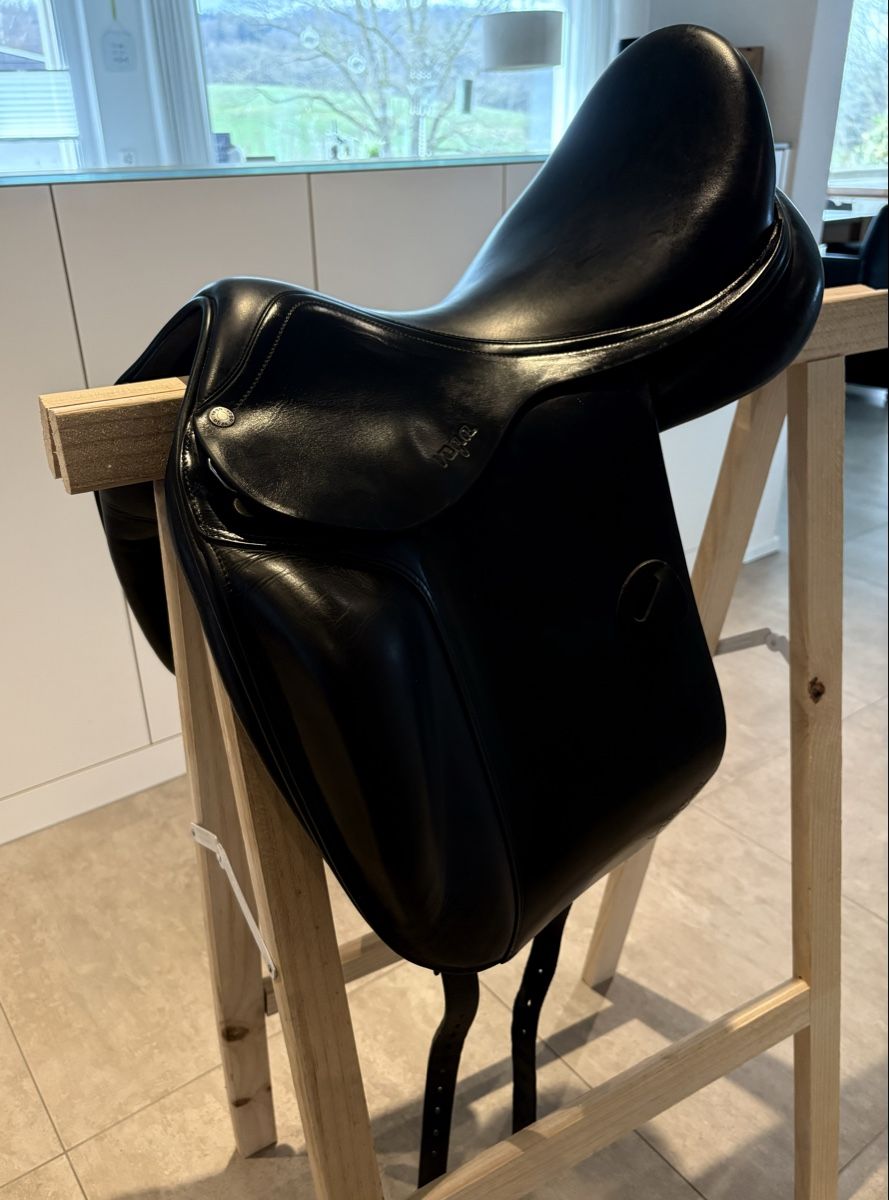 Selle & Accessori: Amerigo Dressur Sattel – Usato da Däniken SO venduto da StuderSarah 1