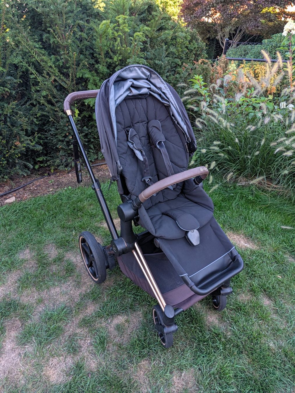 Cybex Kinderwagen: Cybex e-Priam Elektro-Kinderwagen – Gebraucht aus Zumikon von KeKeSeB 4