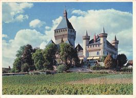 Vufflens le Château VD – Schloss und darunterliegende G