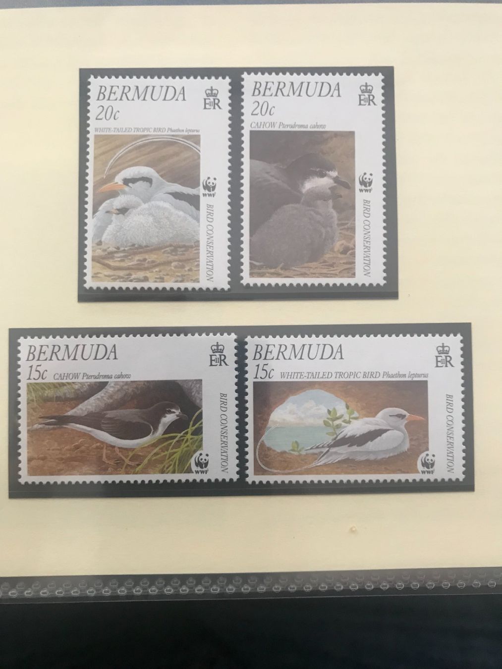 Tutti i francobolli: WWF Bermuda 2001 Satz Sturmvogel Tropikvogel postfrisch – Nuovo (secondo la descrizione) da Winterthur venduto da schnueps