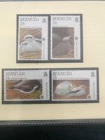 WWF Bermuda 2001 Satz Sturmvogel Tropikvogel postfrisch