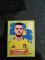 Panini WM 2026, SWE 12, Svanberg