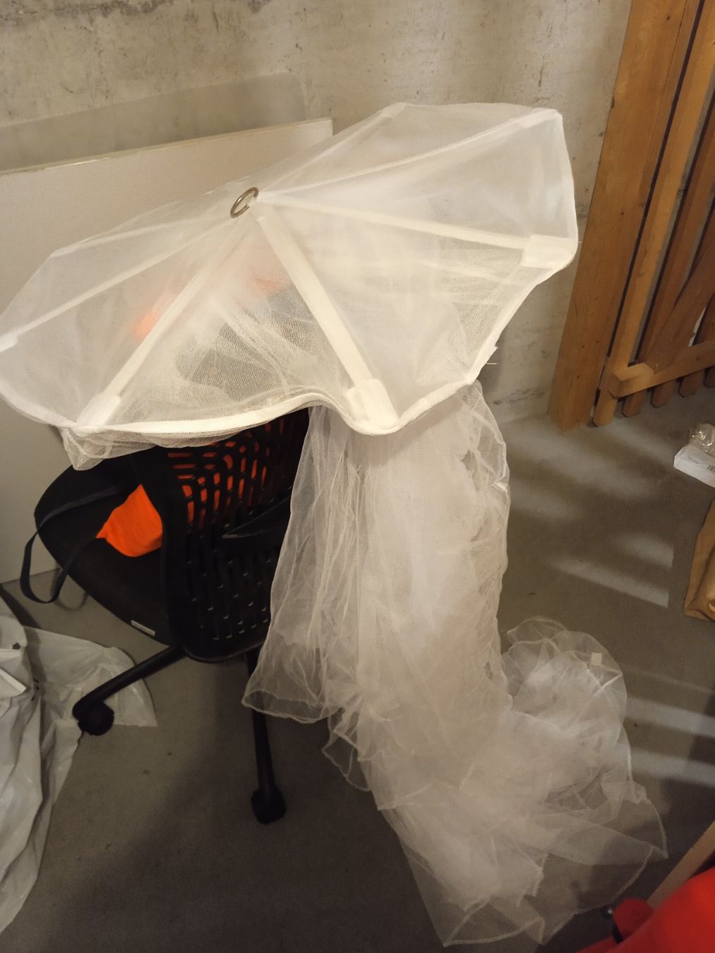 Altro per la casa: Mosquito net bed – Nuovo (secondo la descrizione) da Flums venduto da hec_flums