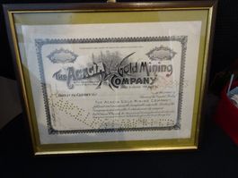 antikes historisches Wertpapier - USA Goldmine