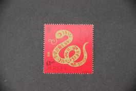 Jersey 2025 - Year of the snake**