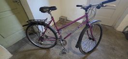 Damen Velo