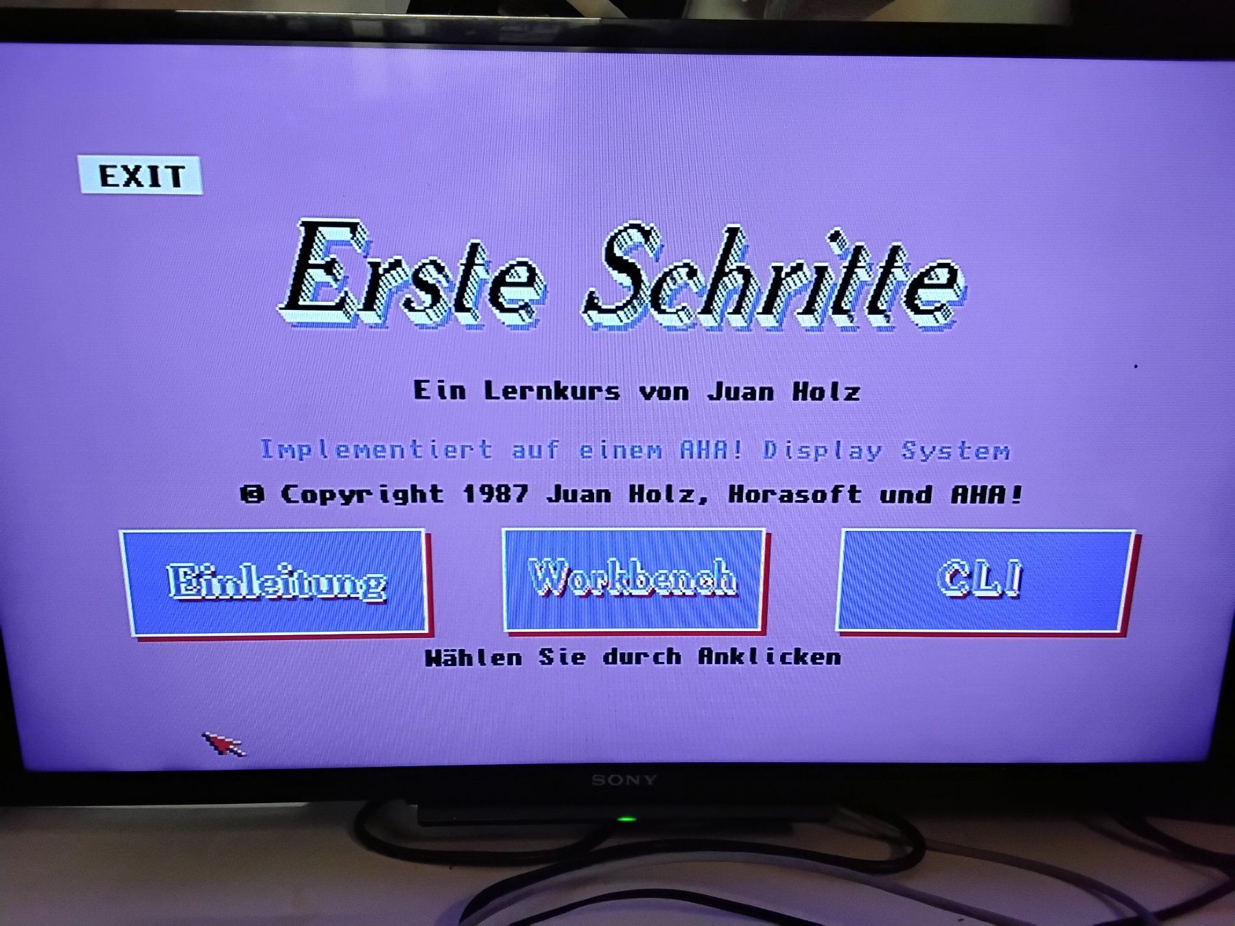Commodore PCs: Amiga - Box voller Orginaldisketten. – D'occasion à Lyss par Ruczek123 6