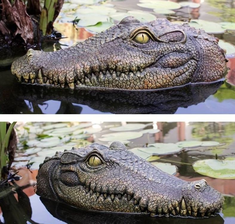 Teich Krokodil Kopf (35 cm) Kaufen auf Ricardo