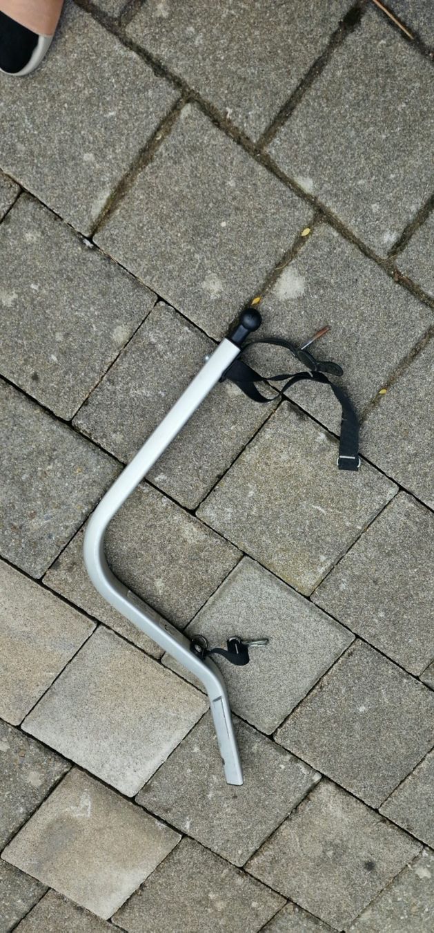 Thule Rimorchi: Thule Chariot Lite 1 – Usato da Seftigen venduto da G00 9