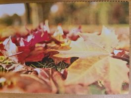 Postkarte