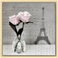 2 Serviette Vintage Ros Paris