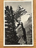 Davos 1959, Tinzenhorn