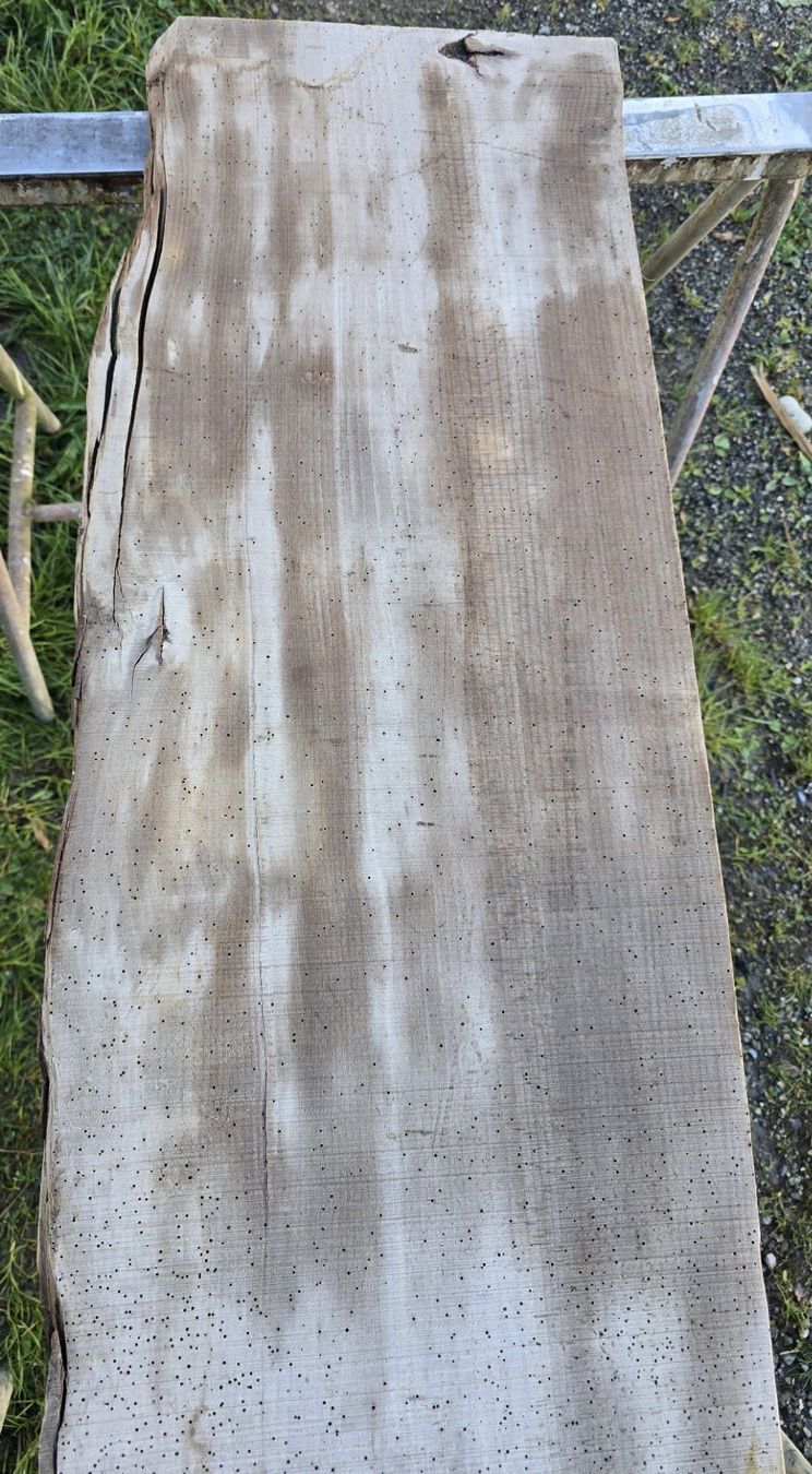 Articoli in legno: Altes Holzbrett – Usato da Rorschacherberg venduto da snOOpydOg11 2