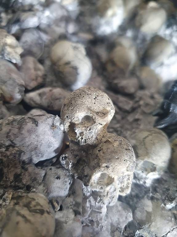 Figuren: Alien Predator – Gebraucht aus Schaffhausen von 0607 3