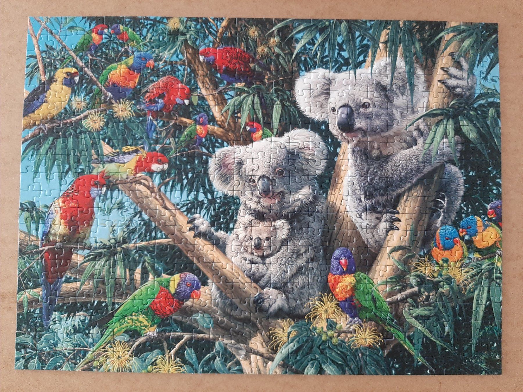 Ravensburger Puzzles: Puzzle 500er Ravensburger Koalas im Baum – D'occasion à Flaach par maj_w_ 2