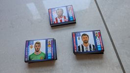 Panini Champions League 2013/14 Sticker Sammlung – 163 STK.