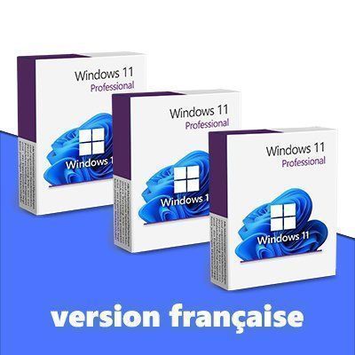Microsoft Software: Windows 11 Professional (3 keys) - FR – Usato da Vaduz venduto da KeysDistributionGmbH