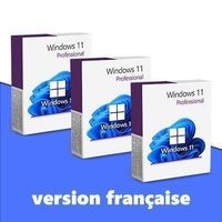 Windows 11 Professional (3 keys) - FR