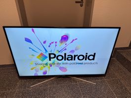 Polaroid Fernseher 55 Zoll