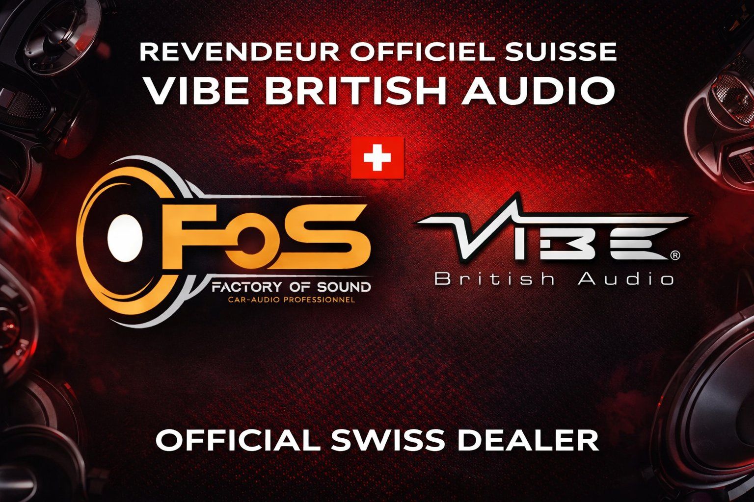 Casse acustiche: ViBE SLICK10D2-V3 - Subwoofer - 10" (25cm) – Nuovo e nell'imballaggio originale da Corcelles-près-Payerne venduto da FactoryofSound 5