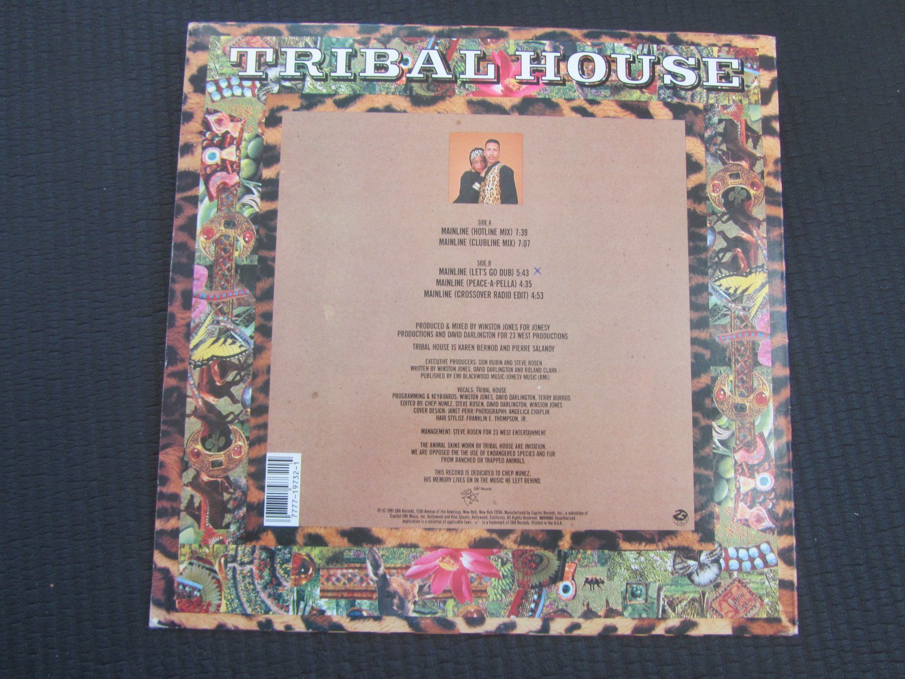 Vinyles: MAINLINE:  Tribal House – D'occasion à Seengen par mikelele 3