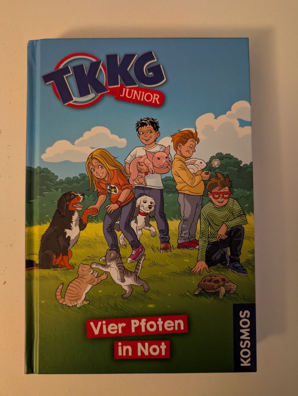 Libri: TKKG Junior "vier Pfoten in Note" – Usato da Aarberg venduto da fosta