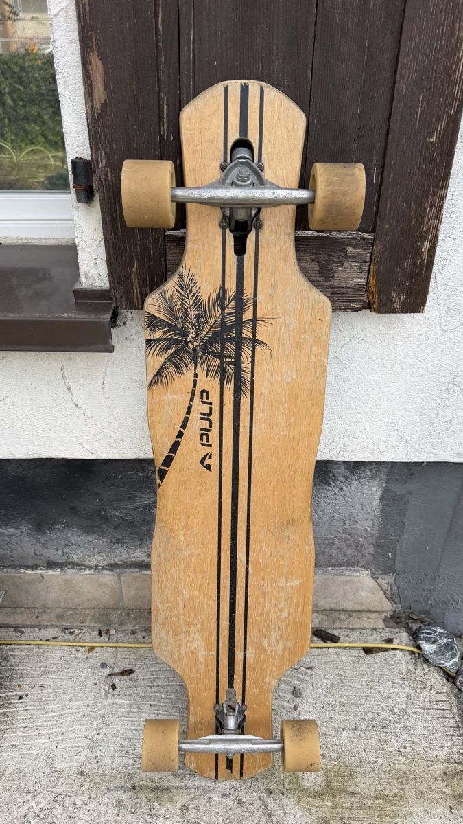 Skateboards: Longboard Skateboard Pulp  – Usato da Lengnau AG venduto da Doubledoor