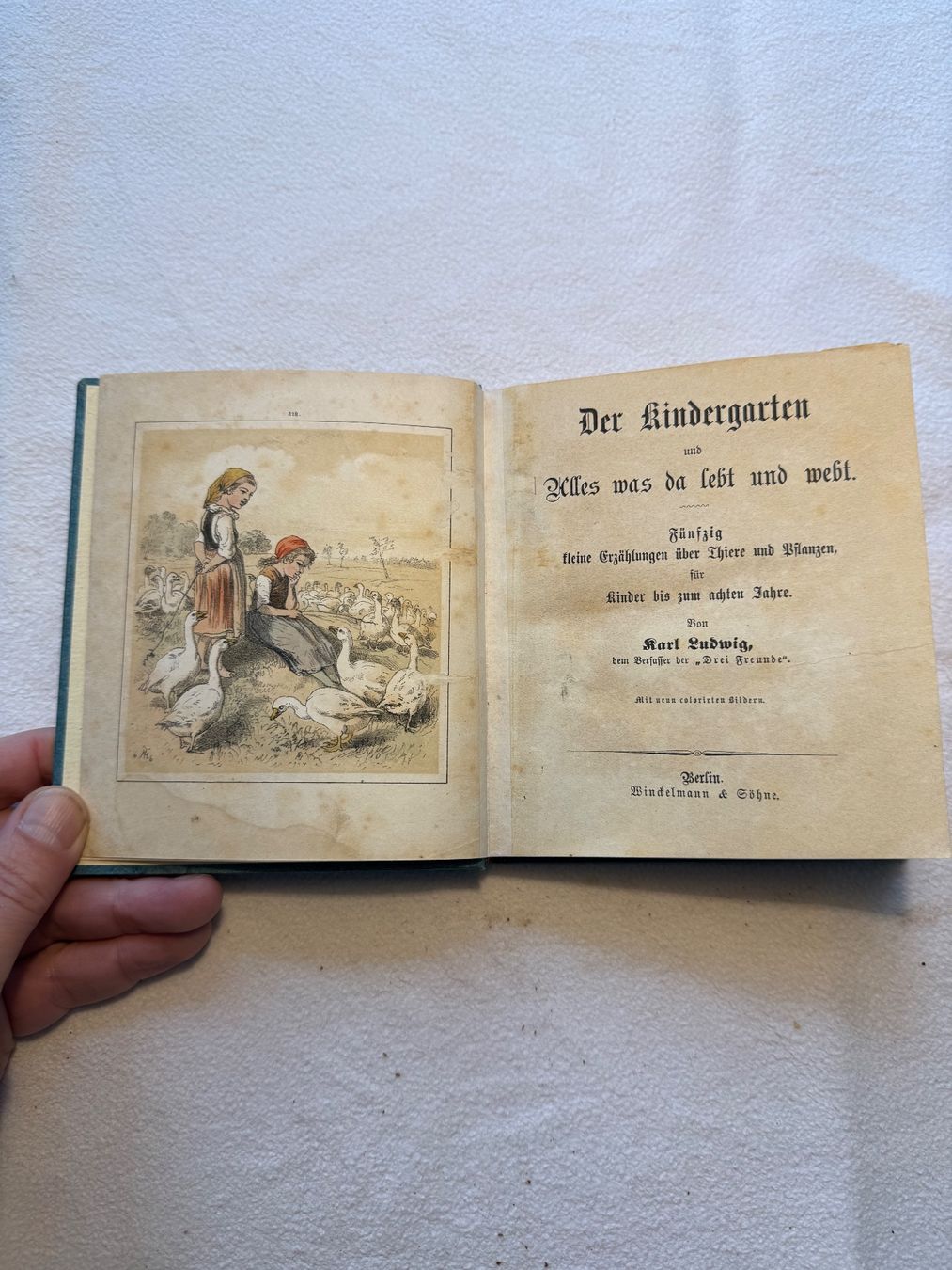 Libri: Der Kindergarten und Alles was da lebt und webt. – Usato da Bern venduto da xberg36 1