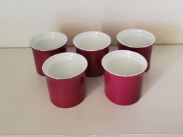 5 coquetiers Rosenthal bordeaux / blanc