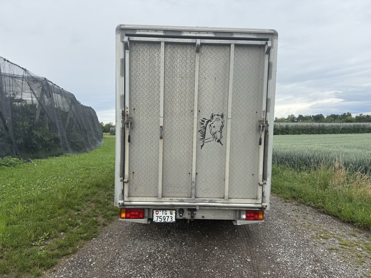 Renault Veicoli commerciali: Pferdetransporter Aufbau Scherz – Usato da Romanshorn venduto da fiber01 1
