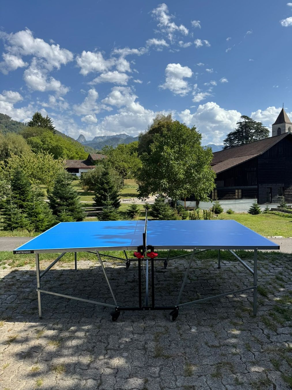 Decathlon Tennis da tavolo: Table de ping-pong Artengo – Usato da St Legier La Chiesaz venduto da pgjudd 4