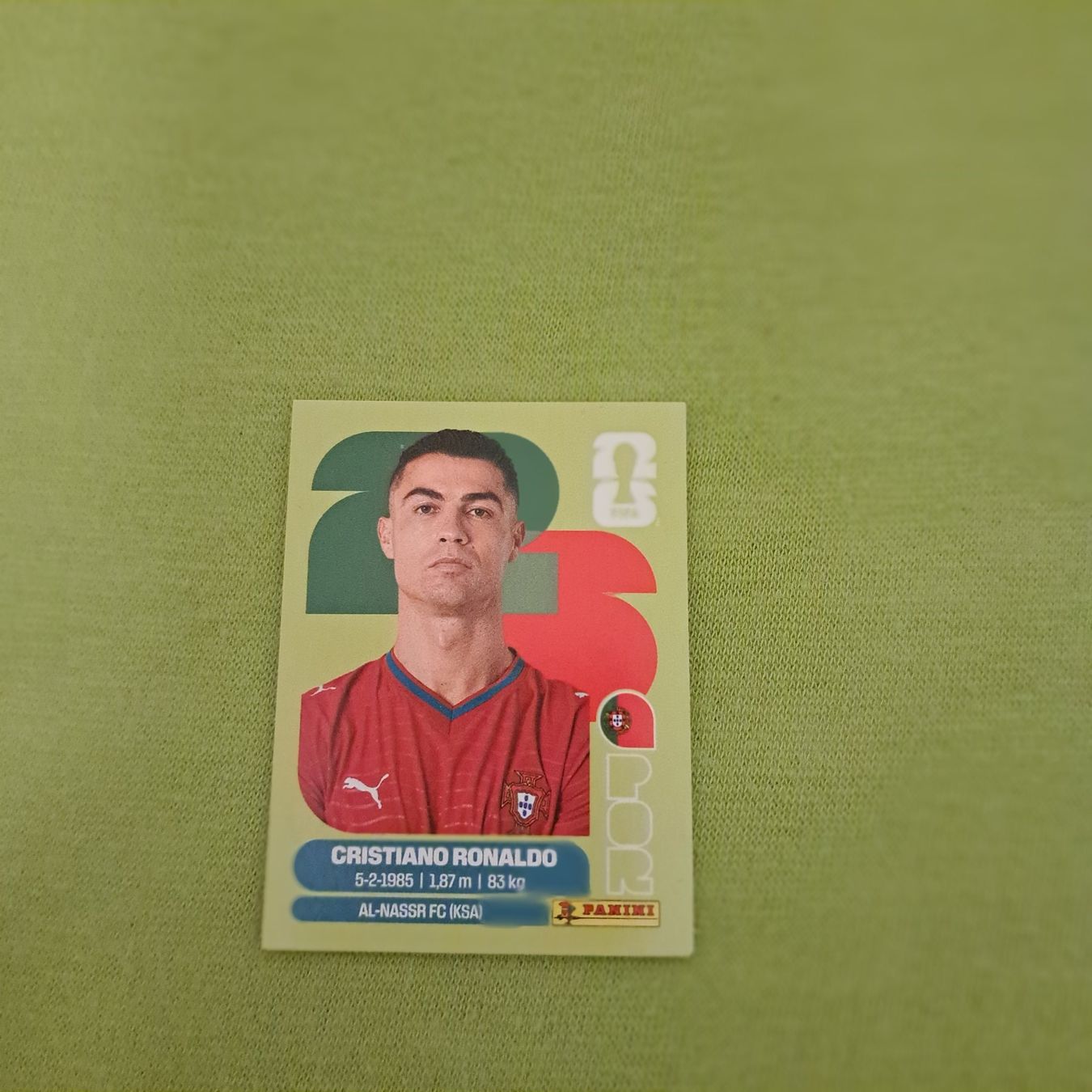 Panini Carte collezionabili: Panini Bild Ronaldo – Usato da Unterentfelden venduto da Miro-Lou