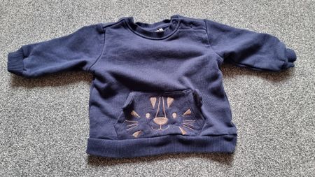 Pull tigre 62 68
