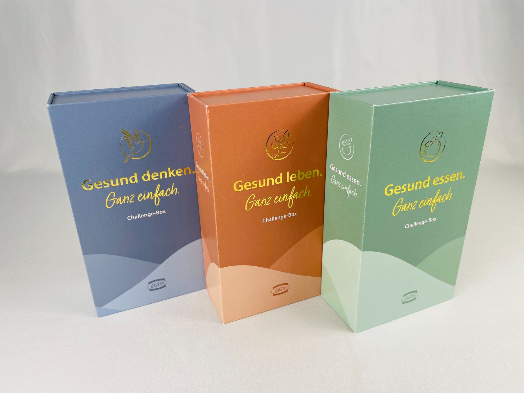 Libri: Boxenset LaVita Achtsamkeits-Challenge – Nuovo e nell'imballaggio originale da Zürich venduto da bentalent711