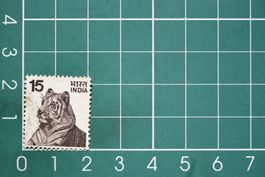 india stamp