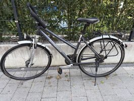 Crosswave Fahrrad