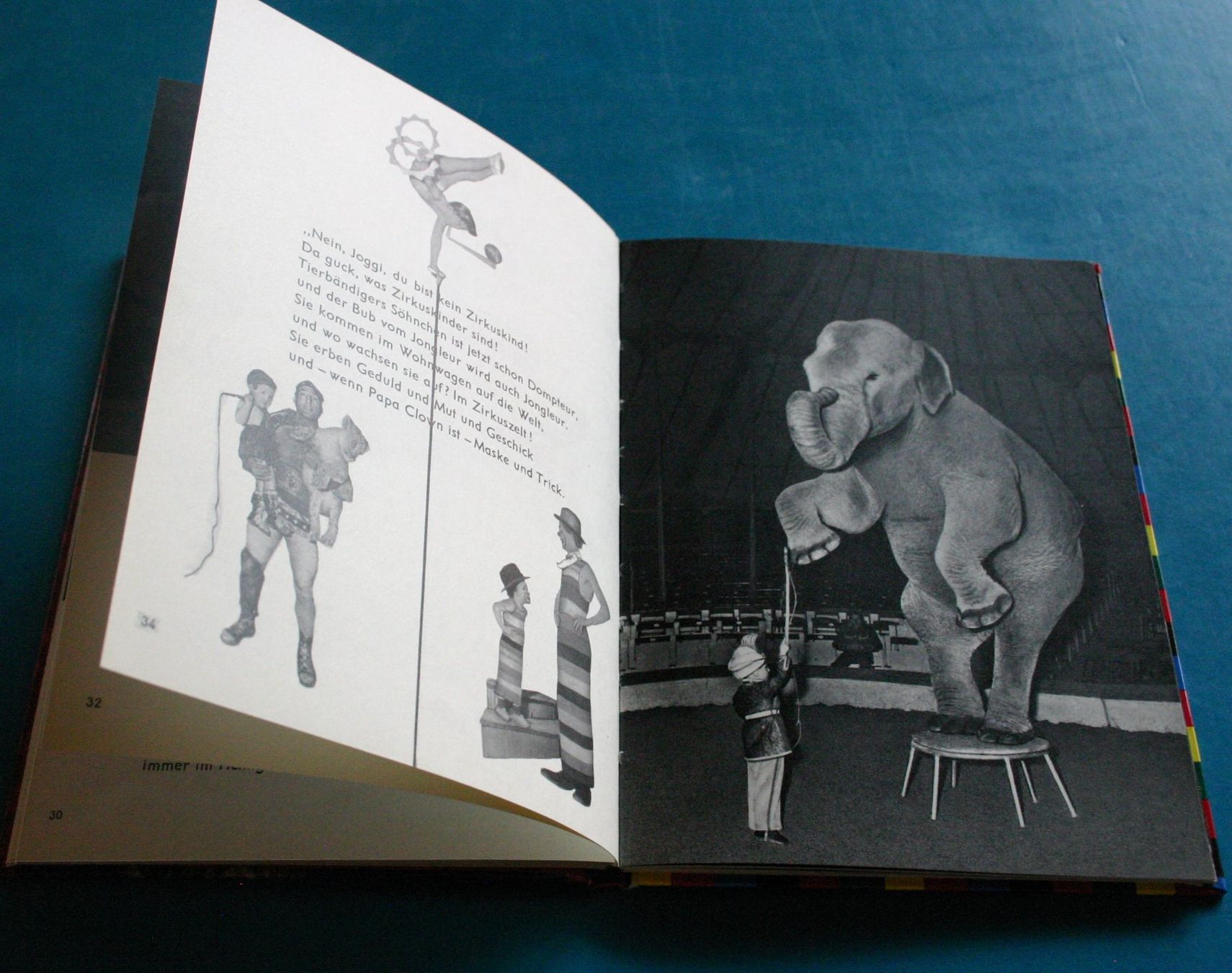 Libri: Zirkus Circus Joggi im Zirkus – Usato da Winkel venduto da franzxaver60 3