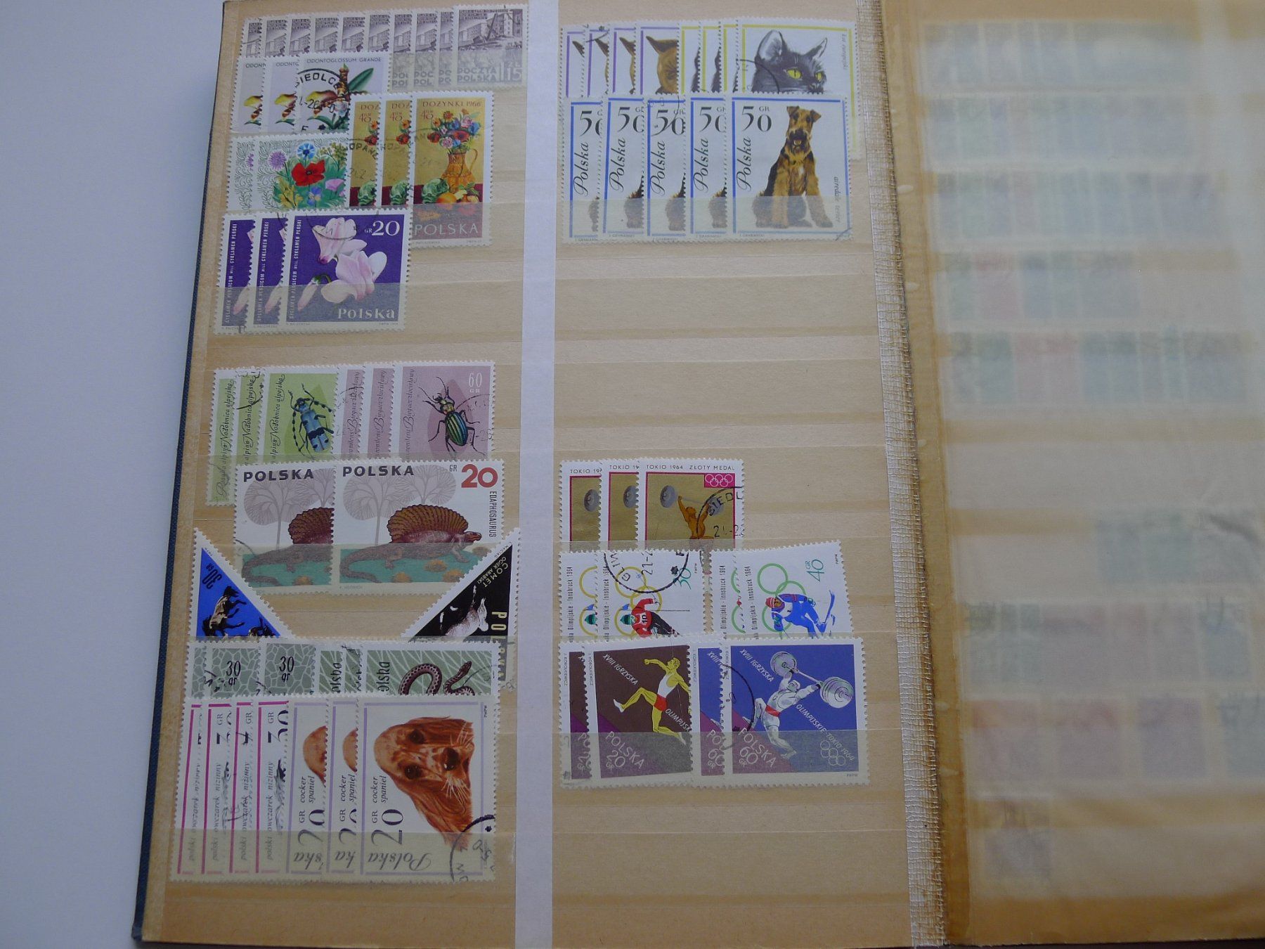 Tutti i francobolli: 2 Alben mit Ausland Briefmarken – Usato da Dagmersellen venduto da q1w2e3r4 7