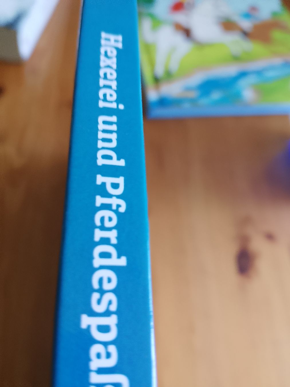 Libri: Bibi und Tina/ Hexerei und Pferdespass – Nuovo (secondo la descrizione) da Volken venduto da katz5 1