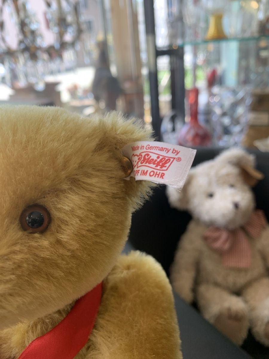 Steiff Giocattoli: Steiff Teddy , Steiffclub? – Usato da Murgenthal venduto da Padoni60 2