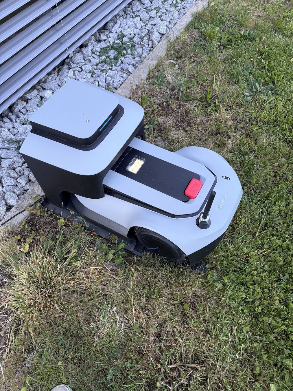 Ecovacs Tagliaerba: Ecovacs Goat G1 800 – Usato da Meisterschwanden venduto da Modellbau3r