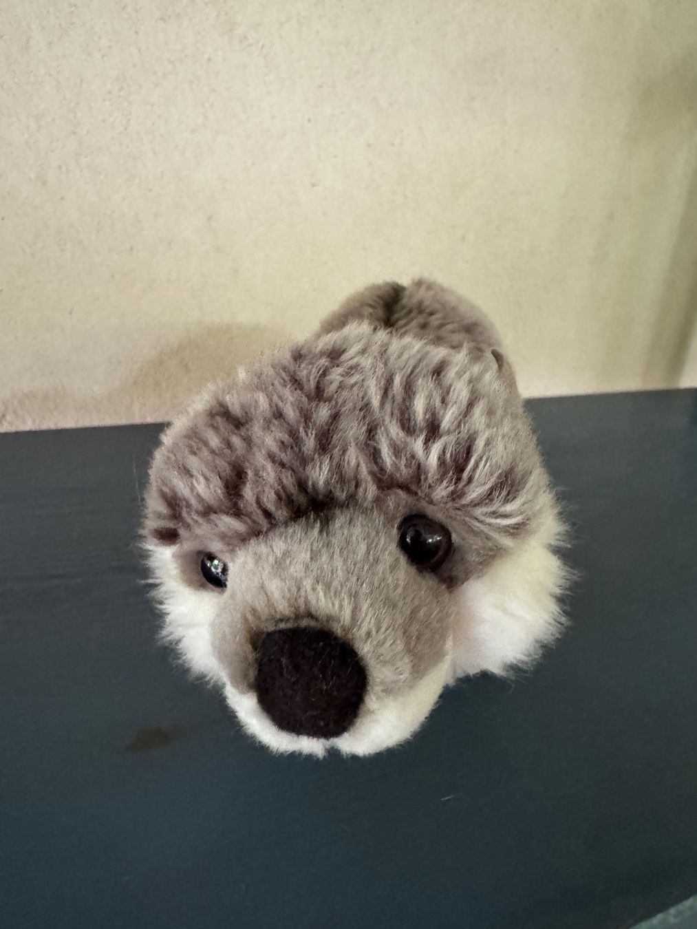 Spielzeuge: Peluche loutre grise – Neu (gemäss Beschreibung) aus Jussy von ali_6d7d 1