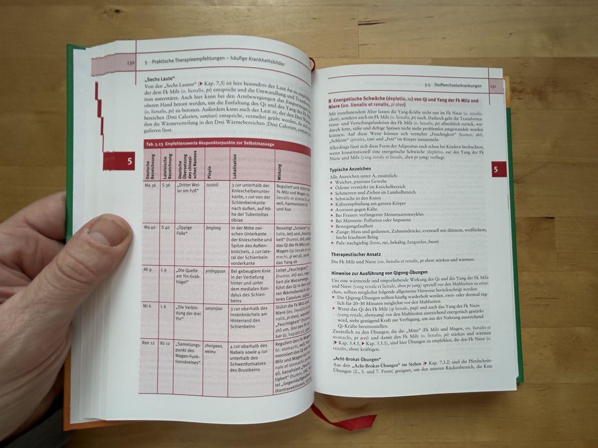 Libri: Leitfaden Qigong – Nuovo (secondo la descrizione) da Himmelried venduto da rasmus67 7