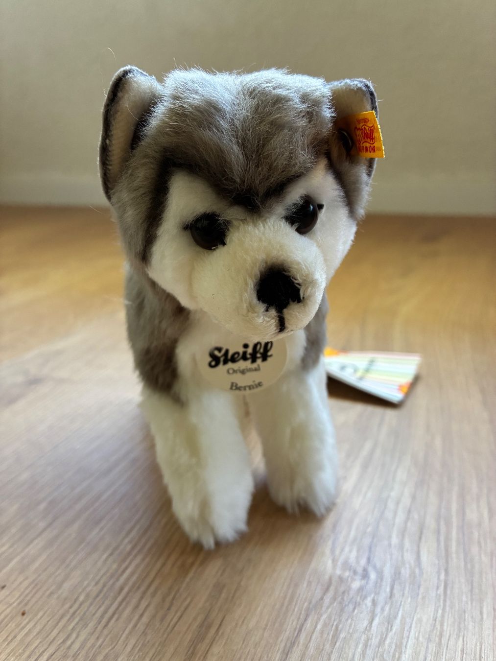 Steiff Giocattoli: Stofftier, Bernie Husky von Steiff – Nuovo e nell'imballaggio originale da Eggenwil venduto da mic_b5l2 6