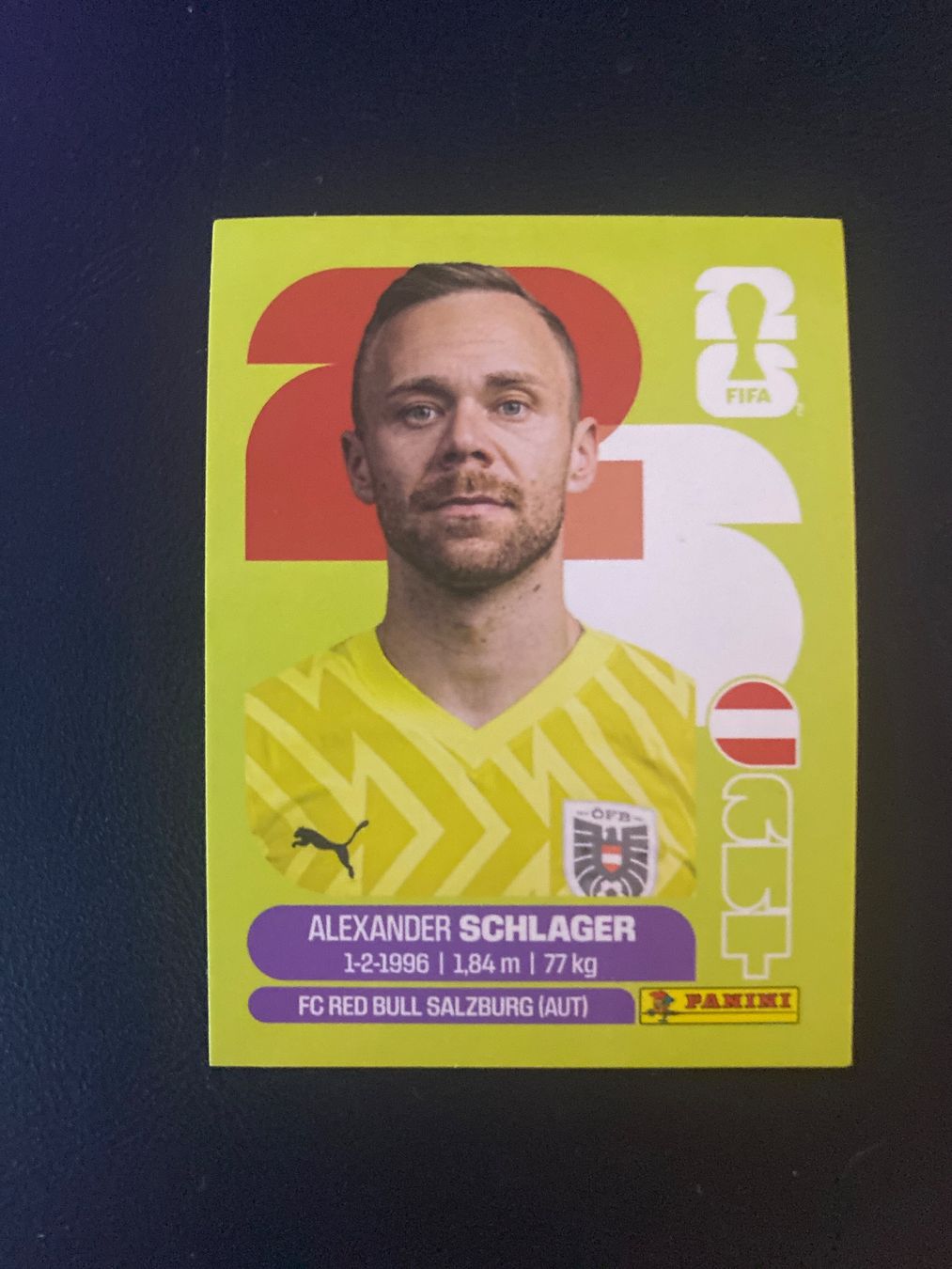 Panini Carte collezionabili: Panini FIFA World Cup Sticker AUT 2 – Nuovo (secondo la descrizione) da Glattbrugg venduto da riseca
