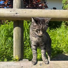 Profile image of MartinaS_16