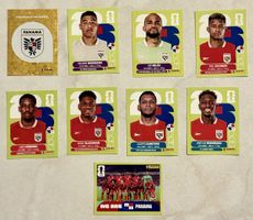 Panini WM 2026!!! Panama!!! 9 verschiedene Stickers 