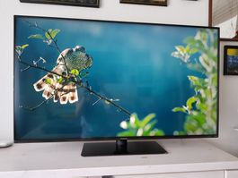 TV Panasonic 4K UHD TN-50W70AEZ, sehr guter Zustand