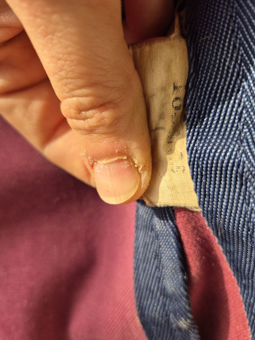 Coperte: Pferde Decke 125 – Usato da Meggen venduto da Orrinka20 5