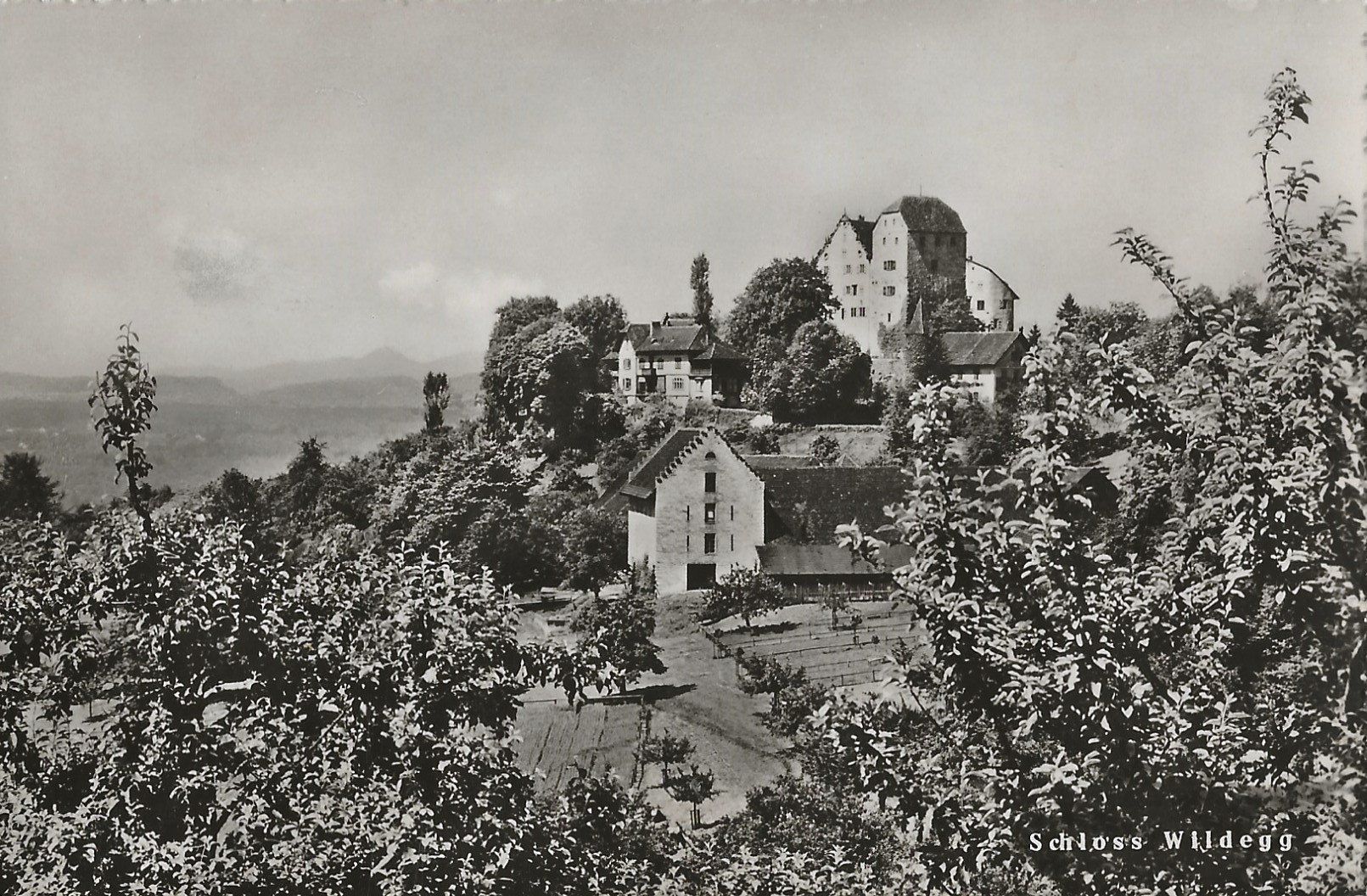 Cartes postales: Schloss Wildegg, 1948 – D'occasion à Frauenfeld par Merk52